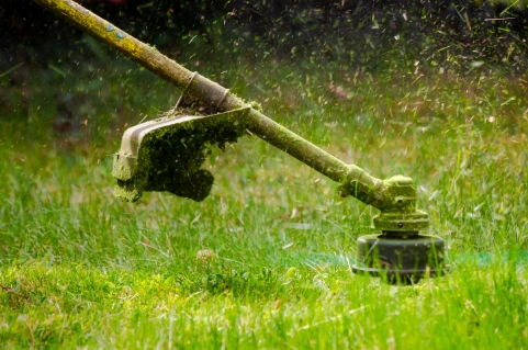 Close-up picture of a professional grass cutting service.