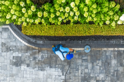 A worker is power washing a pathway.